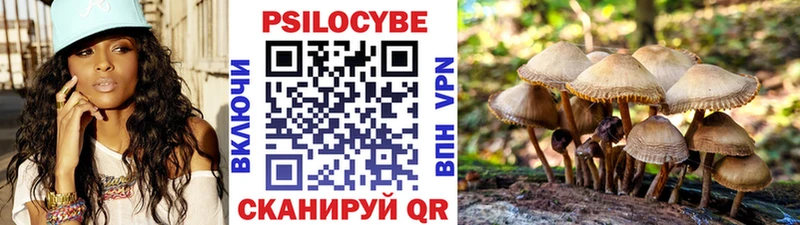 купить наркотики сайты  Суворов  Псилоцибиновые грибы мицелий 